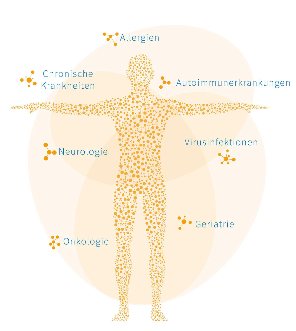 Grafik Einsatzgebiete der Mikroimmuntherapie, Darstellung einer Person mit Nennung der Einsatzgebiete